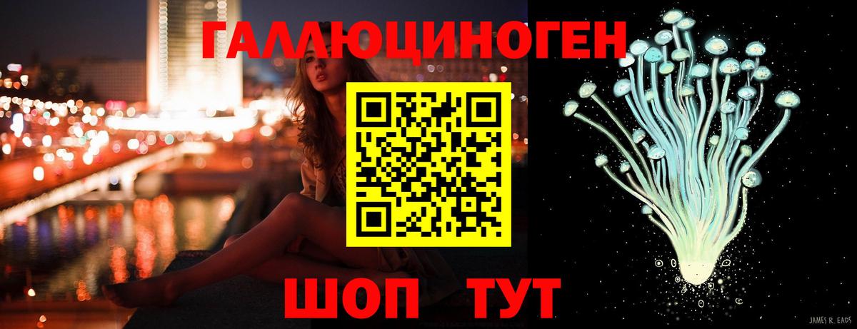 Новороссийск  Псилоцибиновые грибы прущие грибы  Вход с VPN 